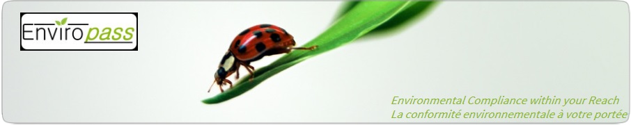 d313785c-4dc8-4e55-847c-bfccb7ee41f5-1